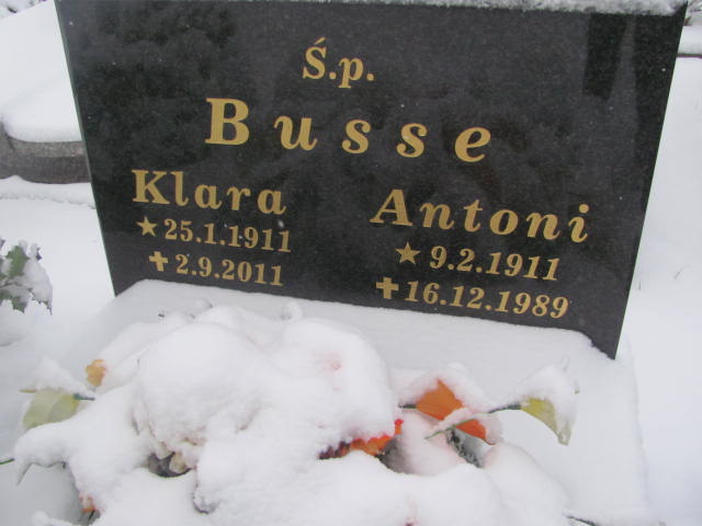 Antoni Busse 1911 Bydgoszcz  NMP z Góry Karmel - Grobonet - Wyszukiwarka osób pochowanych